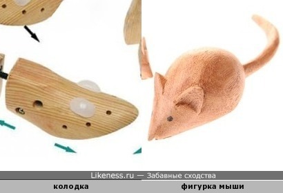Колодка для растяжки обуви напоминает мышь