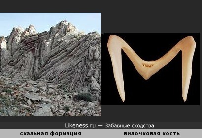 Скальная формация на пляже Агиос Павлос (Крит) и вилочковая кость полулапчатого гуся напоминают букву &quot;М&quot;
