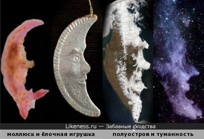 &quot;Четыре месяца&quot;: моллюск Polycera janjukia, старая ёлочная игрушка, полуостров Камчатка и туманность IC 2118 (известная также как &quot;Голова Ведьмы&quot;)
