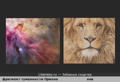 Фрагмент туманности Ориона напоминает морду льва