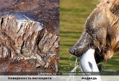 Деталь поверхности метеорита &quot;Гоба&quot; (Намибия) напоминает голову медведя