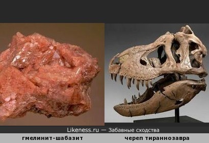 Минерал гмелинит-шабазит напоминает череп тираннозавра