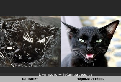 Минерал манганит напоминает чёрного кота