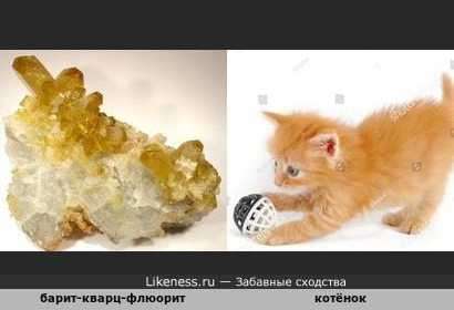 Минерал барит-кварц-флюорит напоминает пушистого котёнка