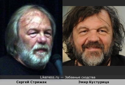 Сергей Стрижак похож на Эмира Кустурицу