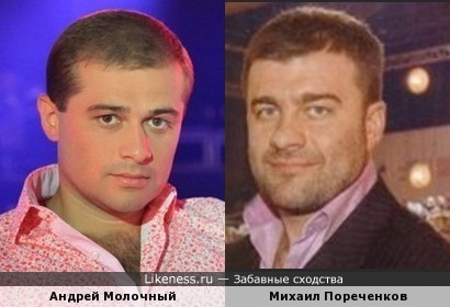 Михаил Пореченков похож на Андрея Молочного