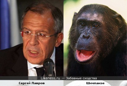 Сергей Лавров - копия обезьяны Шимпанзе