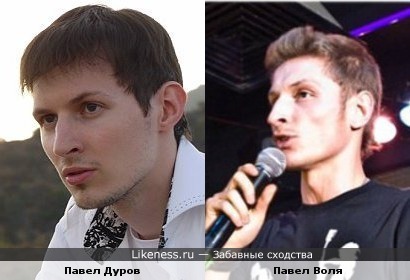 Воля похож на Дурова