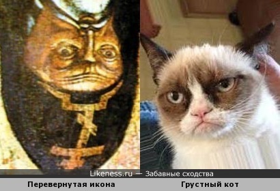 Перевернутая икона святителя Митрофана Воронежского и грустный кот
