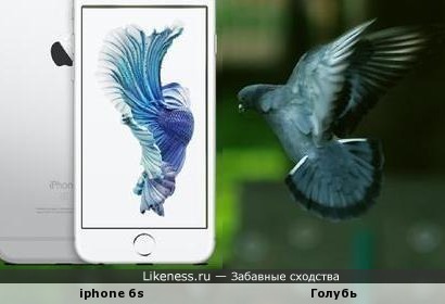 &quot;Неведомая хрень на iphone 6s напомнила летящего голубя&quot; или &quot; Так вот кто надкусил яблоко!?&quot;