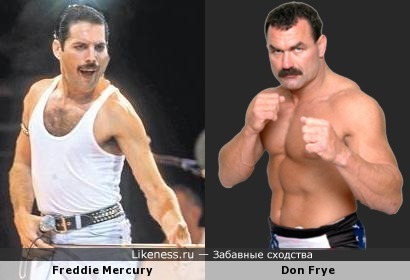Freddie Mercury VS Don Frye