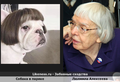 Собака в парике напоминает Людмилу Алексееву