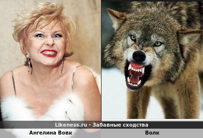 Вовк и волк