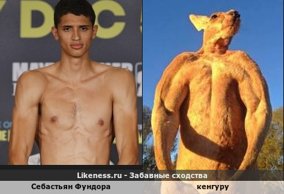 Себастьян Фундора напоминает кенгуру