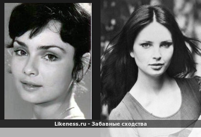 Напоминает