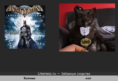 Бэтман похож на кота