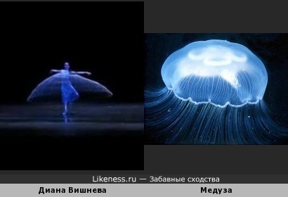 Балерина и медуза
