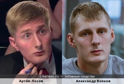 Артём Лосев похож на Александра Волкова