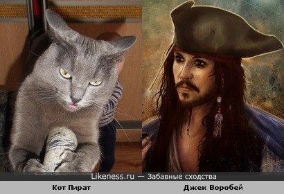 Пират Джек Воробей в исполнении Джонни Деппа (Johnny Depp) похож на кота Пирата.