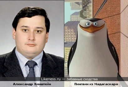 Хинштейн похож на пингвина из Мадагаскара