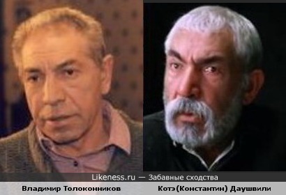 Владимир Толоконников похож на Котэ Даушвили