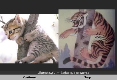 Увидев фото этого котёнка, вспомнила иллюстрацию к сказке &quot;Охотник и тигр&quot;(Сказки народов севера)