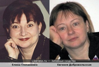 Елена Степаненко напомнила Евгению Добровольскую