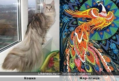 Кошка и жар-птица))