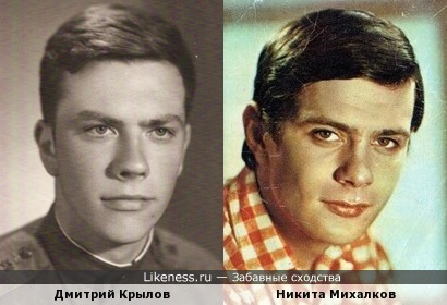 Дмитрий Крылов похож на Никиту Михалкова