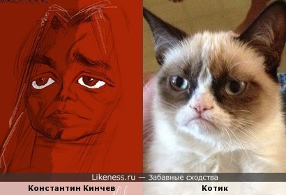 Шарж на Константина Кинчева напомнил Grumpy Cat