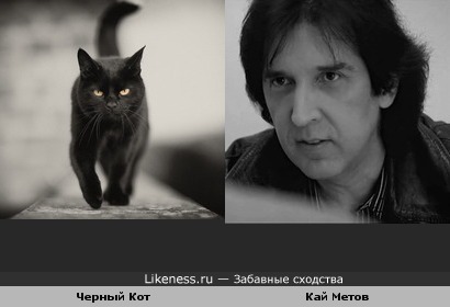 Кай Метов похож на Черного Кота