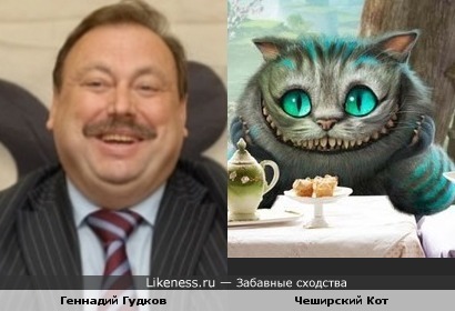 Геннадий Гудков и Чеширский Кот против красного премьера