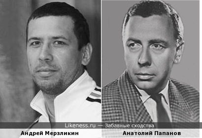 Андрей Мерзликин похож на Анатолия Папанова