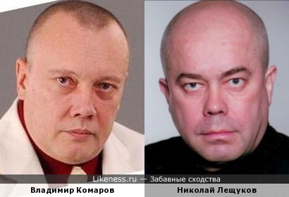 Владимир Комаров и Николай Лещуков похожи