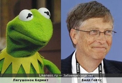 Лягушонок Кермит и Билл Гейтс похожи