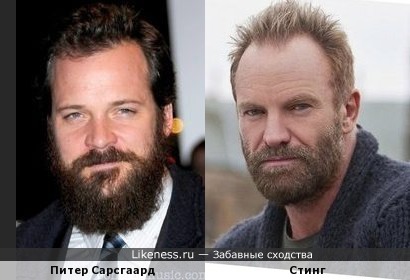 Питер Сарсгаард похож на Стинга, особенно с бородой