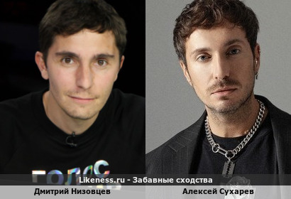 Дмитрий Низовцев и Алексей Сухарев похожи