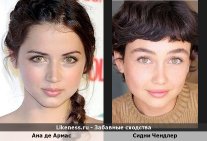 Синди Чендлер похожа на Ану де Армас