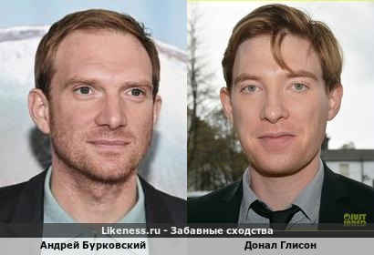 Андрей Бурковский похож на Донала Глисона