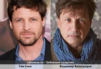Тим Гини и Владимир Виноградов похожи