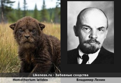Homotherium latides напоминает Владимира Ленина