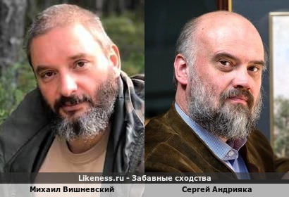 Михаил Вишневский похож на Сергея Андрияку
