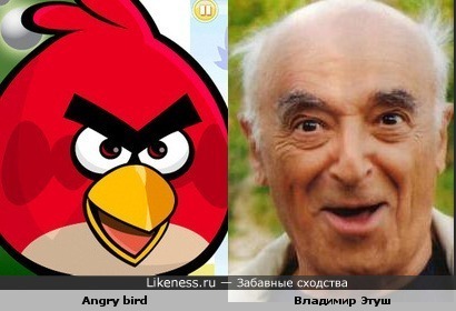 Этуш vs Angry Birds