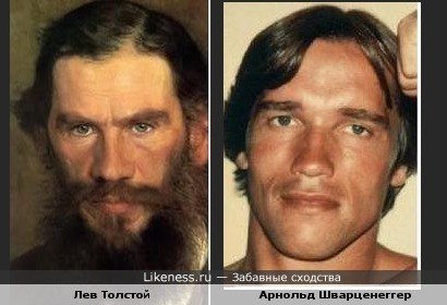 Лев Толстой похож на Арнольда Шварценеггера
