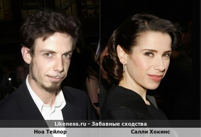 Ноа Тейлор похож на Салли Хокинс