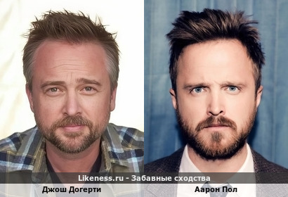 Джош Догерти похож на Аарона Пола