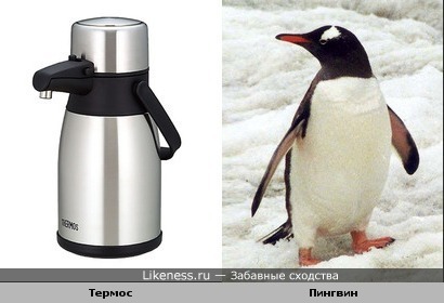 Термос с носиком похож на пингвина