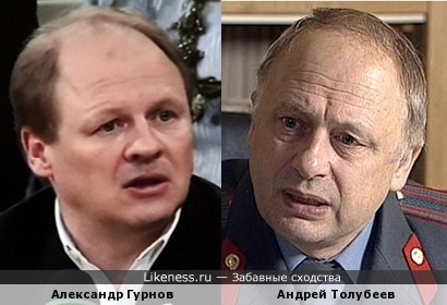 Александр Гурнов и Андрей Толубеев