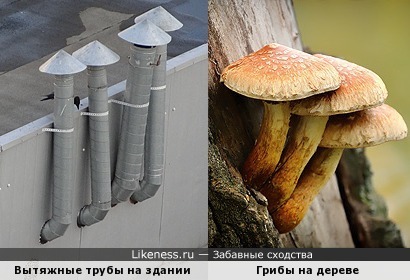 Трубы вентиляции здания напоминают грибы