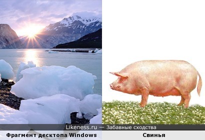 Ледяная «свинья» в стандартных обоях Windows 7